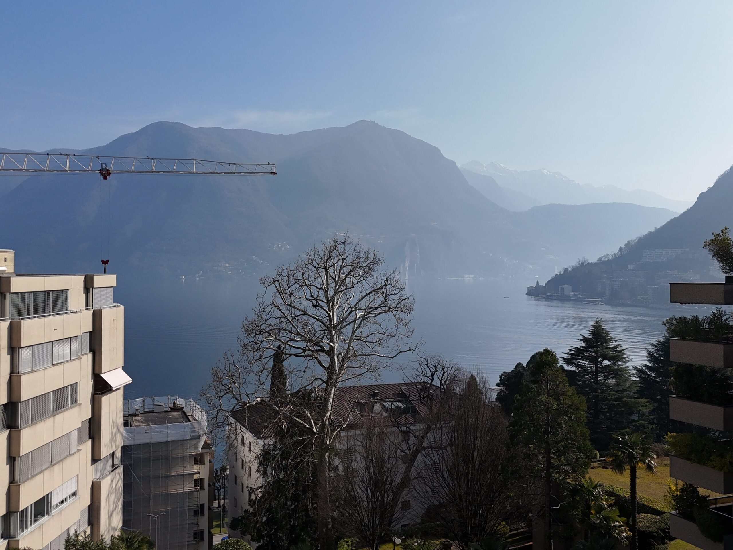 vista di progetto